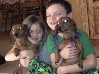 Boonesboro Animal Clinic