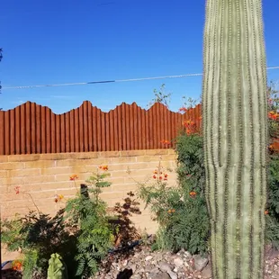 Mountainscape on top of Brickwall