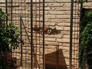 Montoya's Ornamental Ironworks