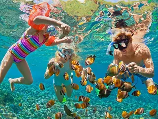 Oahu Circle Island Snorkel Tour