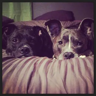 Dom &amp; Ariel - best friends