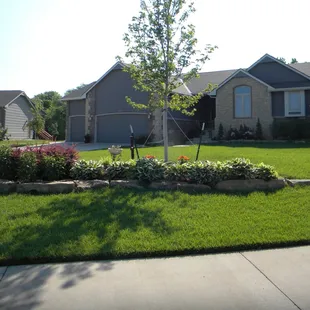 a front yard of a home