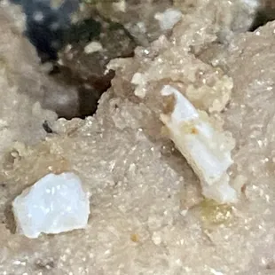 a close up of a piece of food