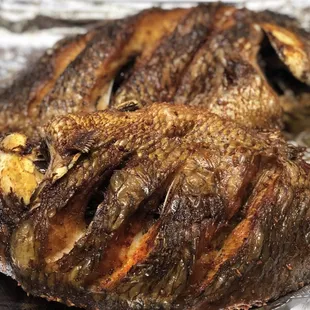 fish, seafood, grilled seafood, food, grilled fish