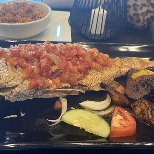 Red Snapper