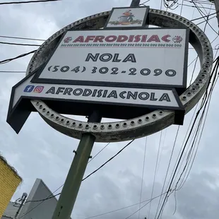 Even on a cloudy day, it will light you up!