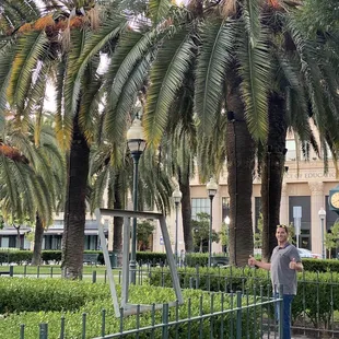a man standing in front of a palm tree