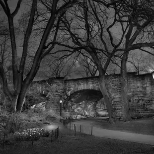 West Side Sunrise, from Deep in a Dream-Central Park, 2009 by Michael Massaia