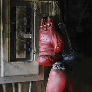 Hanging Gloves, from Doug's Gym by Norm Diamond