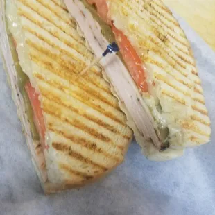SW Turkey panini