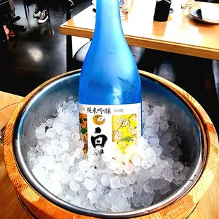 Cold Sake