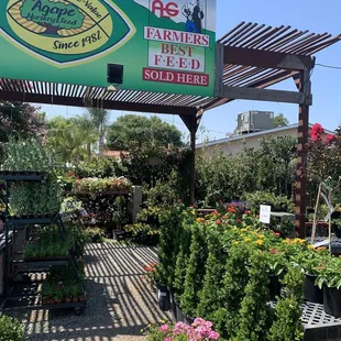 Agape Nursery & Feed