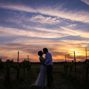 Beautiful sunset in the vineyard.