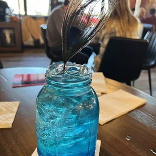 Mr.pretty peacock
