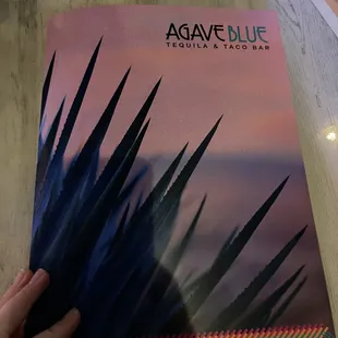 Pretty front of the menu