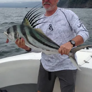 Bill B.