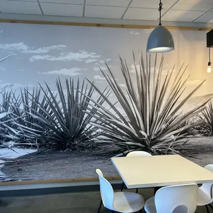 Gorgeous black and white photography takes up almost an entire wall