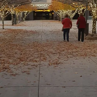 Beautiful lighted trees.  Path full of leaves.  It feels like the midwest.