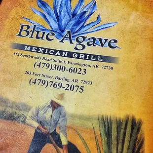 a man plowing a field