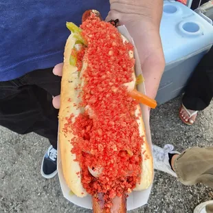 hot dog, hot dogs, sandwich, food
