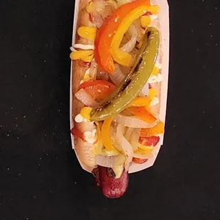 food, hot dog, hot dogs, sandwich