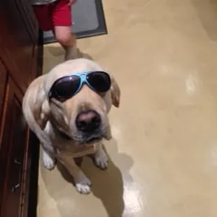 This is Brody our Mascot.