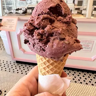 raspberry chocolate chip