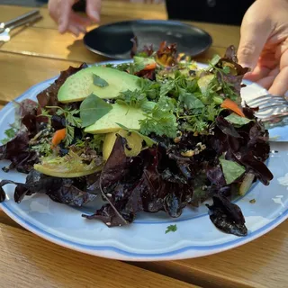 Red Oak Lettuces
