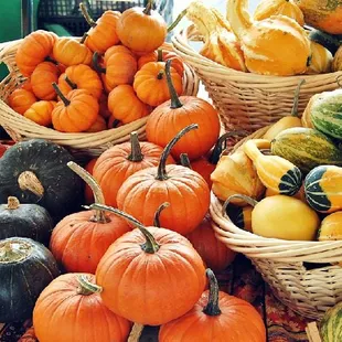 Fall at the Farmers Market