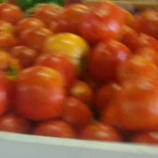 Ripley tomatos- the best