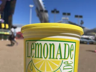 Delta Fair & Music Festival