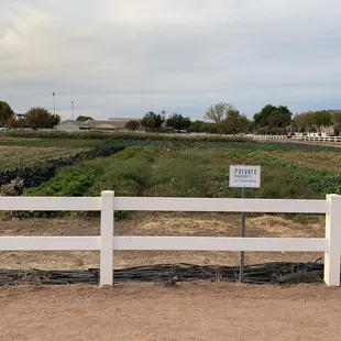 Farm  11/26/24