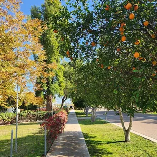 Path to Joe&apos;s Farm Grill