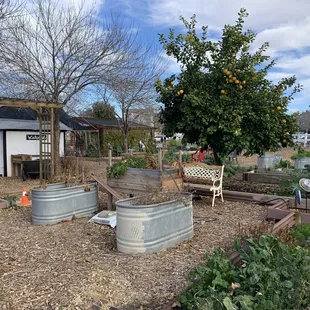2.5.2022 Gardens
