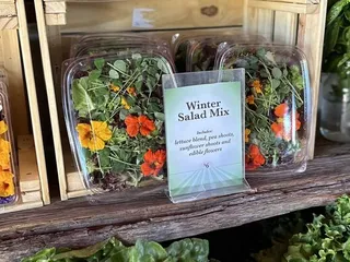 Greenhouse Gardens