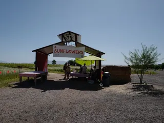 Vertuccio Farms