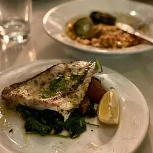 seafood, fish, grilled fish, grilled seafood, food