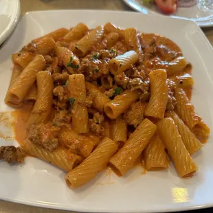 lunch special - rigatoni with spicy sausage in rose sauce