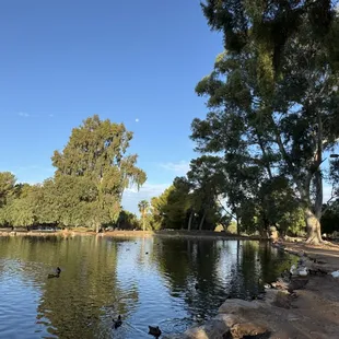 beautiful sunny day at the park