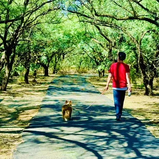 Walking to the seasonal ponds with our dog, Roo