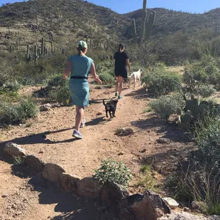 This trail is dog friendly
