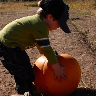 Fall Pumpkin Patch!