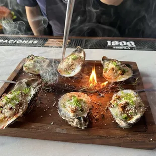 Oysters