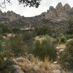 View from campground