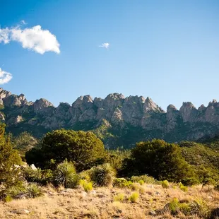 View of the Organ Mountains from Aguirre Spring Road.