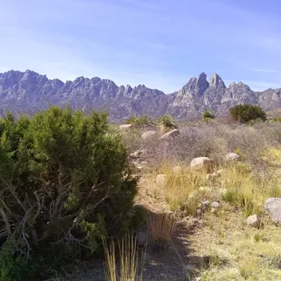 Approaching  campground.