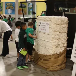 Did you know a cotton bale weighs 500 pounds?