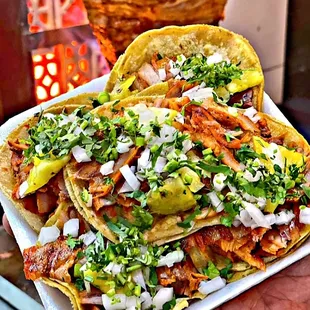 a person holding a plate of tacos