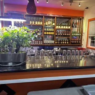 a bar with a potted plant