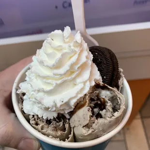 My own mix of Oreos and brownies with an Oreo cookie and whipped cream to top it off! Very tasty!